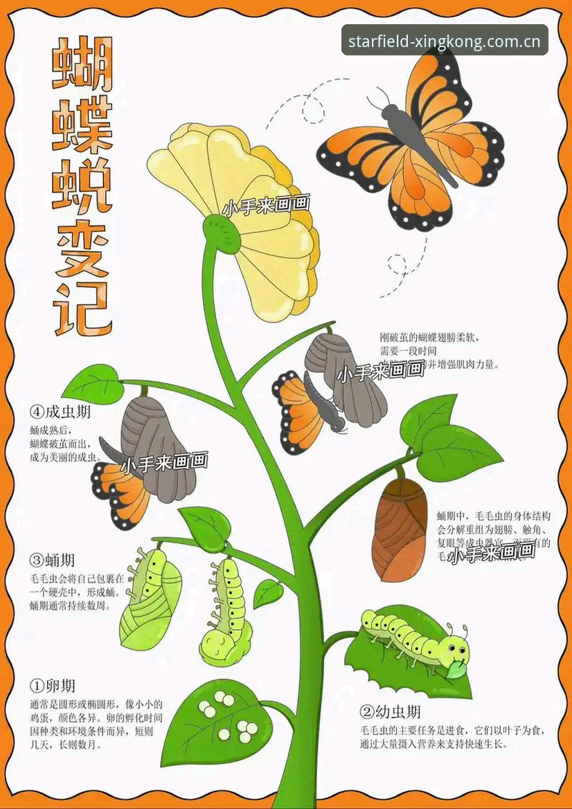 看懂皮奥破茧成蝶的3个关键节点